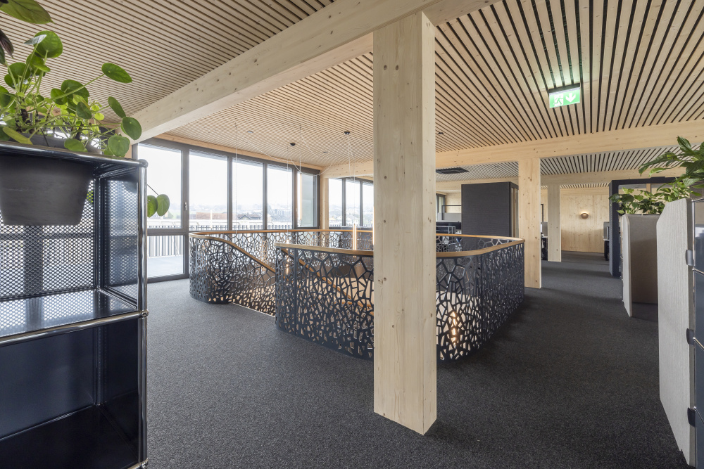 2203 Antonietty Iromet Alpnach 05 20241111