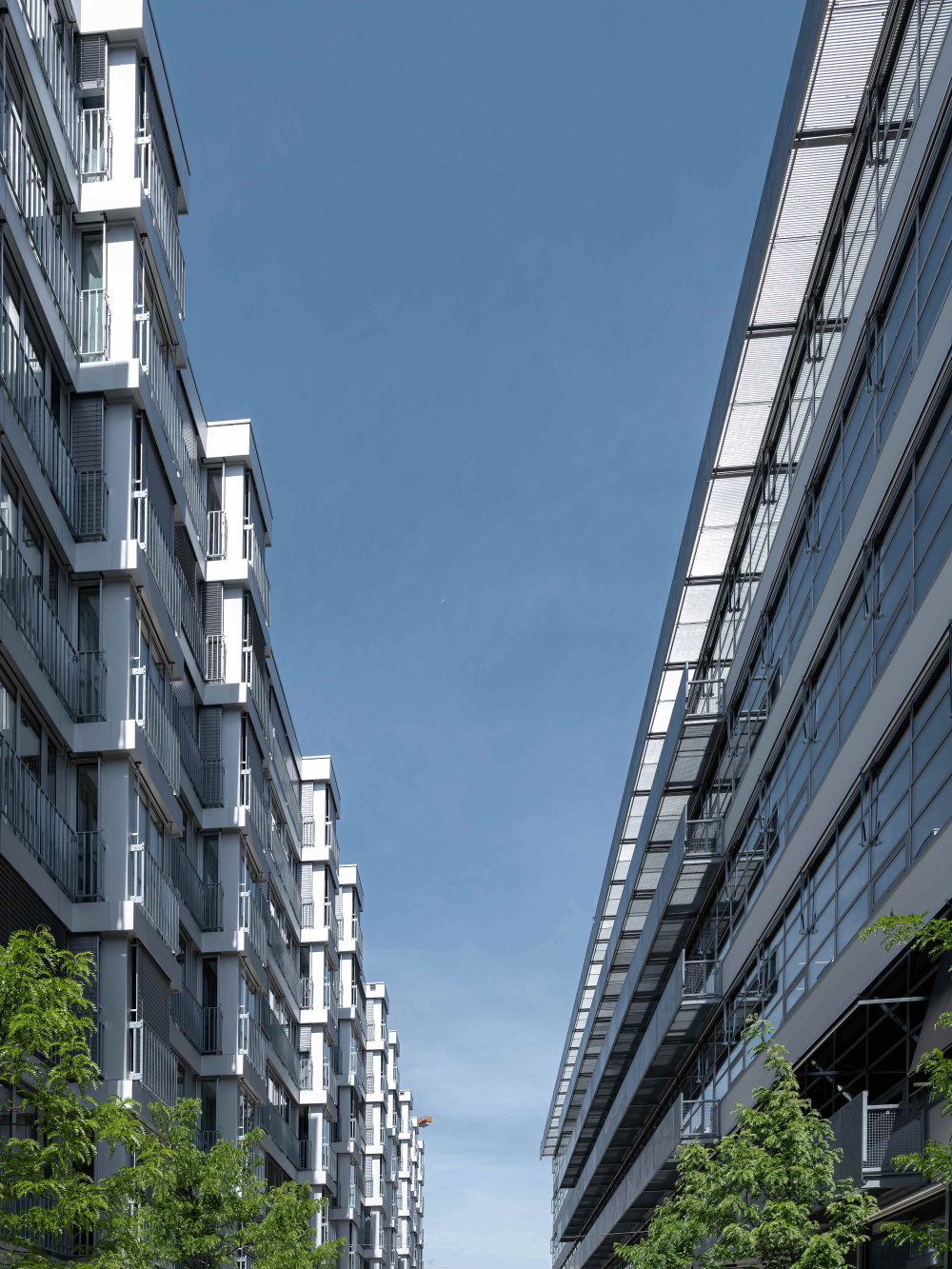 23100090 Althardstrasse Regensdorf Zwhatt DSF0144 unbenannt